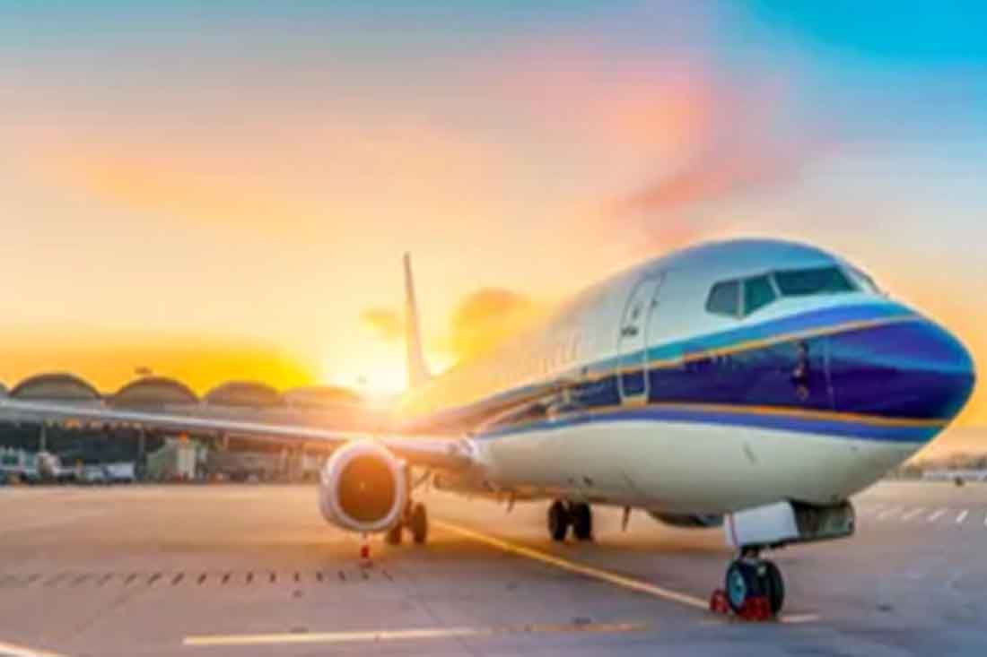 Tim Profesional penerbangan